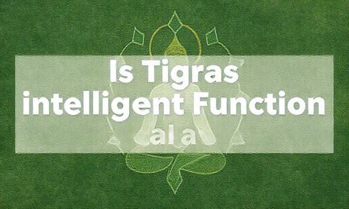 5x瑞虎的智Neng化功Neng实用吗