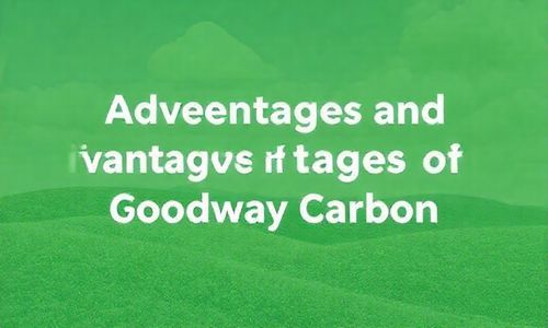 固特威碳霸优缺点分析