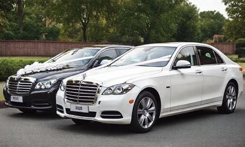 商务车在婚庆中使用频繁吗?
