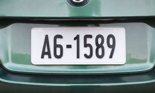 电瓶车上牌照网上办理