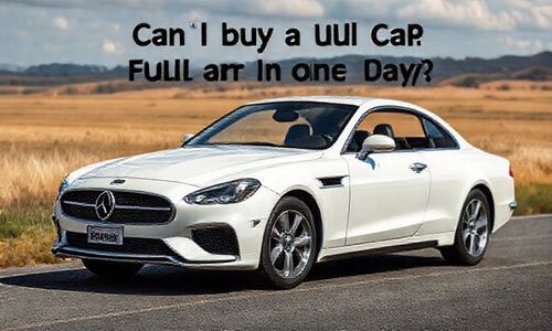 一天Neng全款买车吗?
