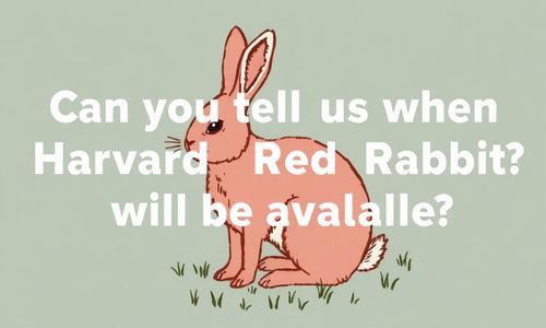 Neng告知哈弗赤兔的上市时间吗?