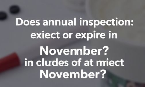 年检11月到期包含11月吗?