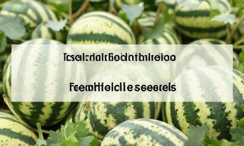 瓜子二手车估价在线查询免费