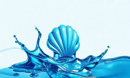 新款的全合成级别蓝壳机油怎么样