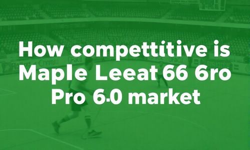 枫叶 60S PRO 市场竞争力怎么样