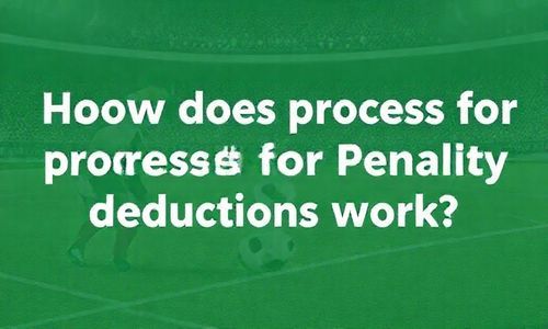 违章扣分罚款流程详解?