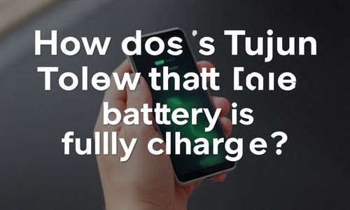 御捷途骏怎么显示电充满