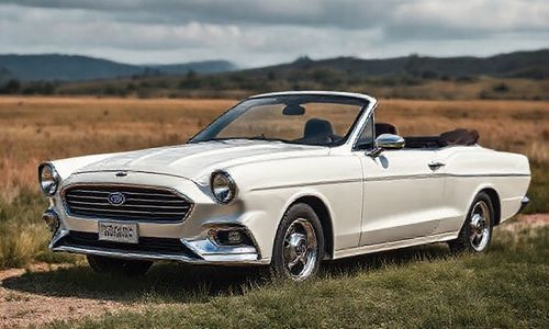 该国的汽车文化对福特品牌产生了何种影响?