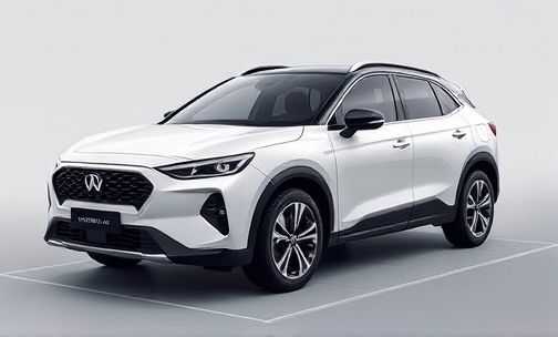 在问界 M9 订车官网支付 28.98 万后多久能提车?