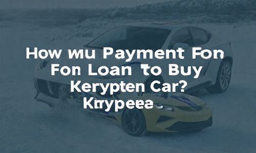 贷款买极氪车 001 首付多少