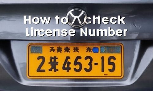 如何进行浙江车牌号查询