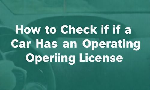 如何查某个车是否有营运证