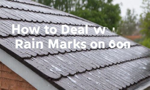 车顶棚有雨水印怎么处理