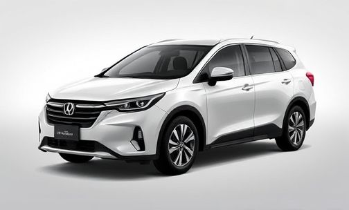怎样判断二手 V260 商务车价格是否合理?