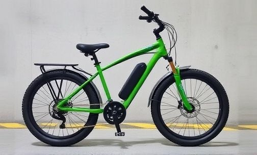 绿驹电动自行车怎么消除时速控制