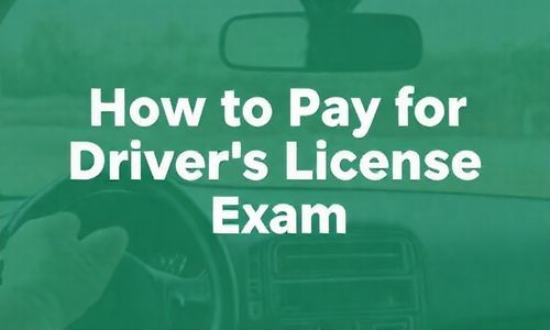 驾驶证考试费用怎么交