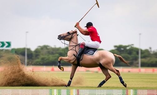 Polo 爬坡驾驶技巧解析