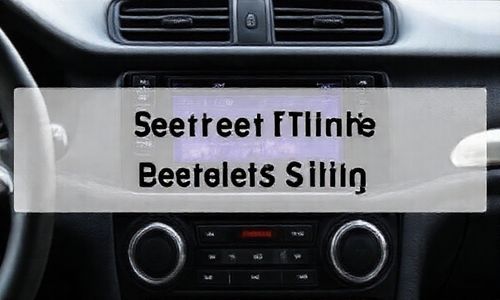 红旗h5汽车音效最佳设置图