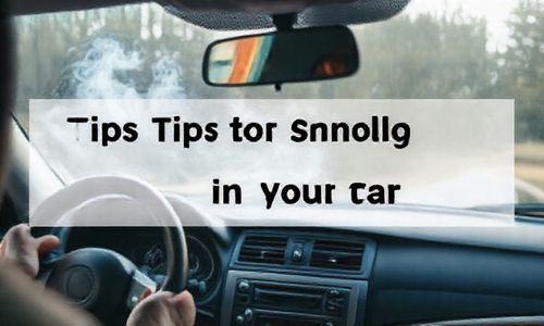 处理车内烟味的小窍门