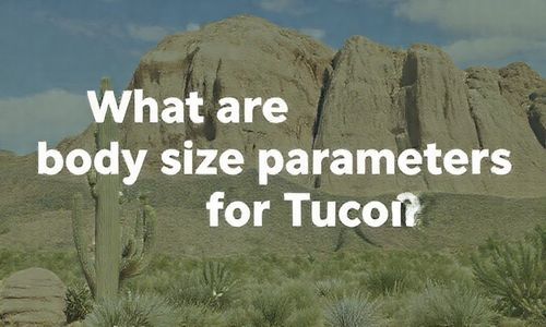 途胜的车身尺寸参数是多少?