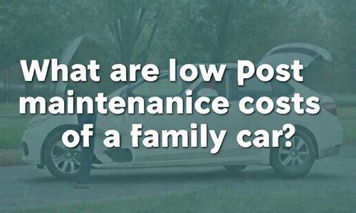 家庭用车后期保养成本低的有哪些？