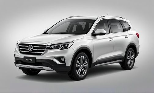 哈弗H9柴油车型是国几标准?