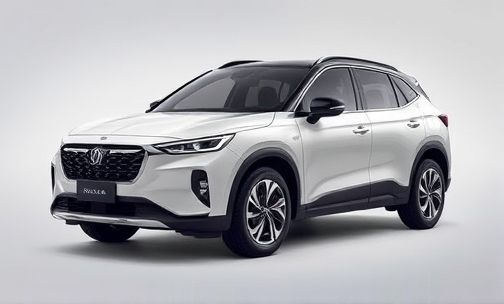 宝骏新车RM5的参数详情是什么?