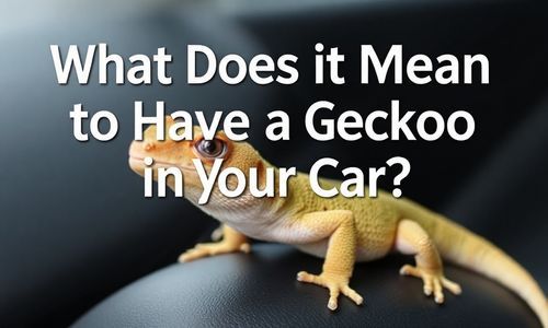 车上壁虎代表什么意思？