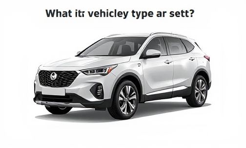 车辆类型指的是什么?