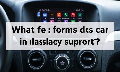 车载音乐播放支持哪些格式?