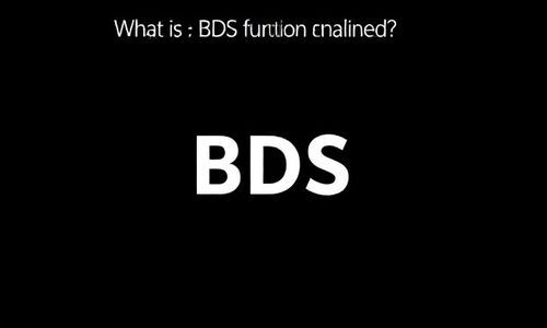 于途解释的BDS功能是什么?