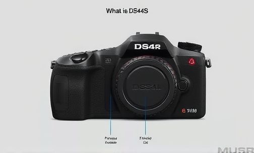 DS4S是什么车型?