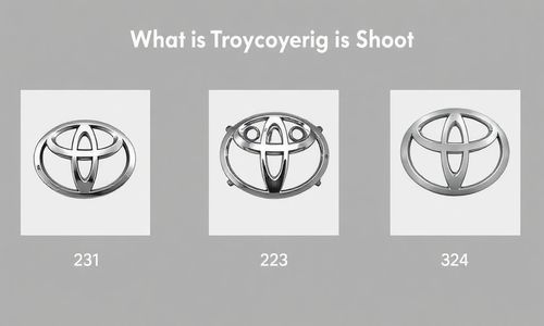 丰田汽车标志的演变历程是怎样的