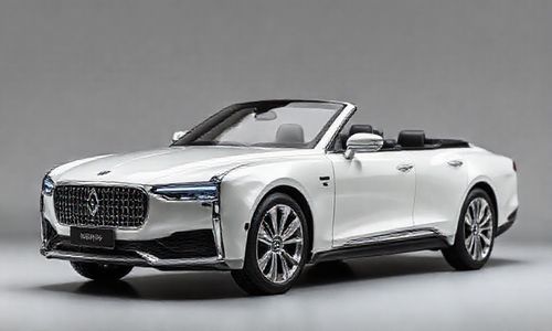 红旗 H9 顶配车型的落地价是多少?