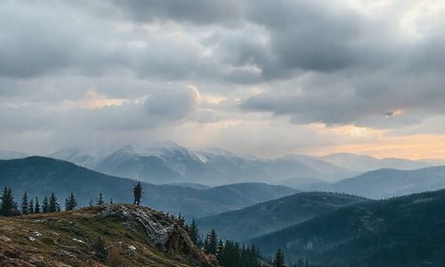 车尔尼740是什么级别