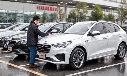 包头市车管所新车上牌流程是怎样的