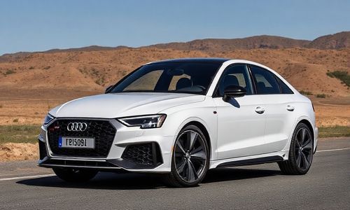 奥迪 RS Q3 十周年版的市场定位是什么？