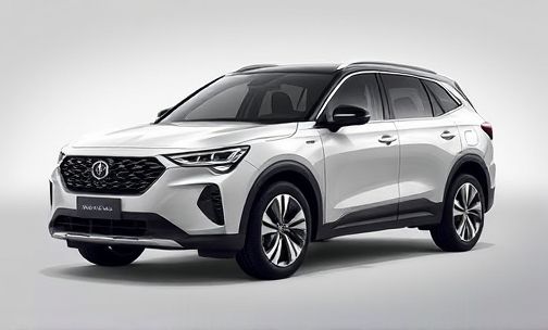 比亚迪 S6 质量在国产 SUV 中处于什么水平