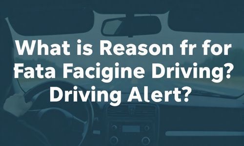 疲劳驾驶提醒的原因是什么?