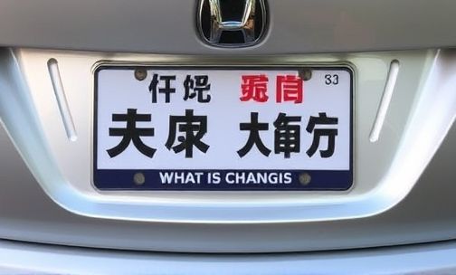 昌吉的车牌是什么