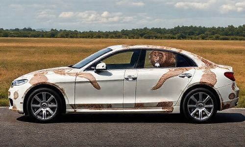 两个狮子的图案的车是什么车