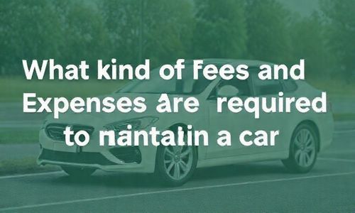 养车都需要什么费用和费用,养车都需要什么费用和手续