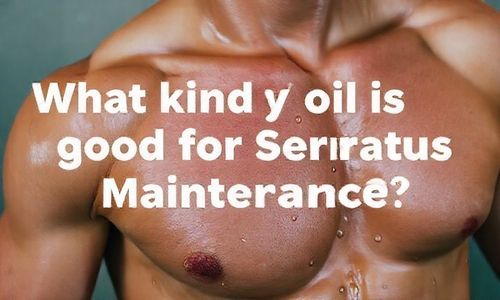 赛拉图保养用什么机油好？