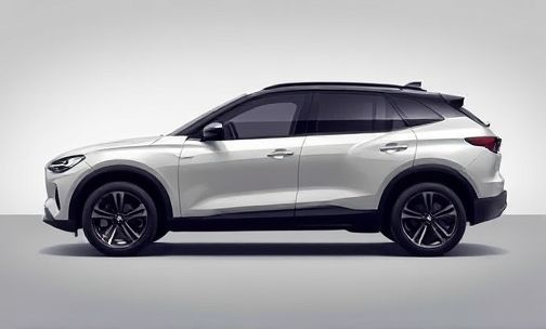 DBX隶属于哪个级别的SUV?