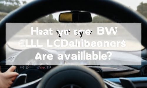 宝马液晶仪表盘有哪几款