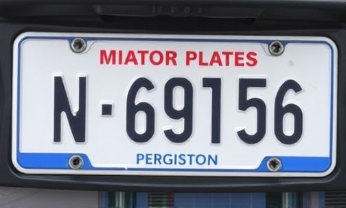 机动车牌照能否注销