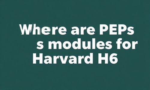 哈佛H6的PEPS模块在哪里？
