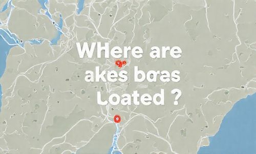 刹车在哪个位置