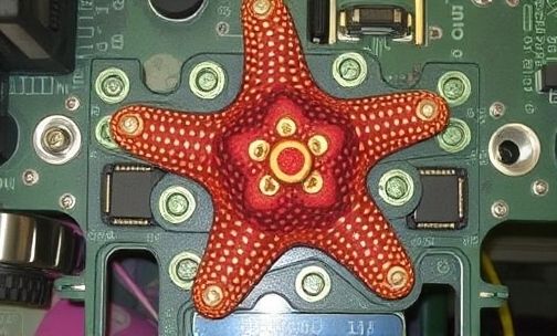 金杯海星的诊断插头在哪里?